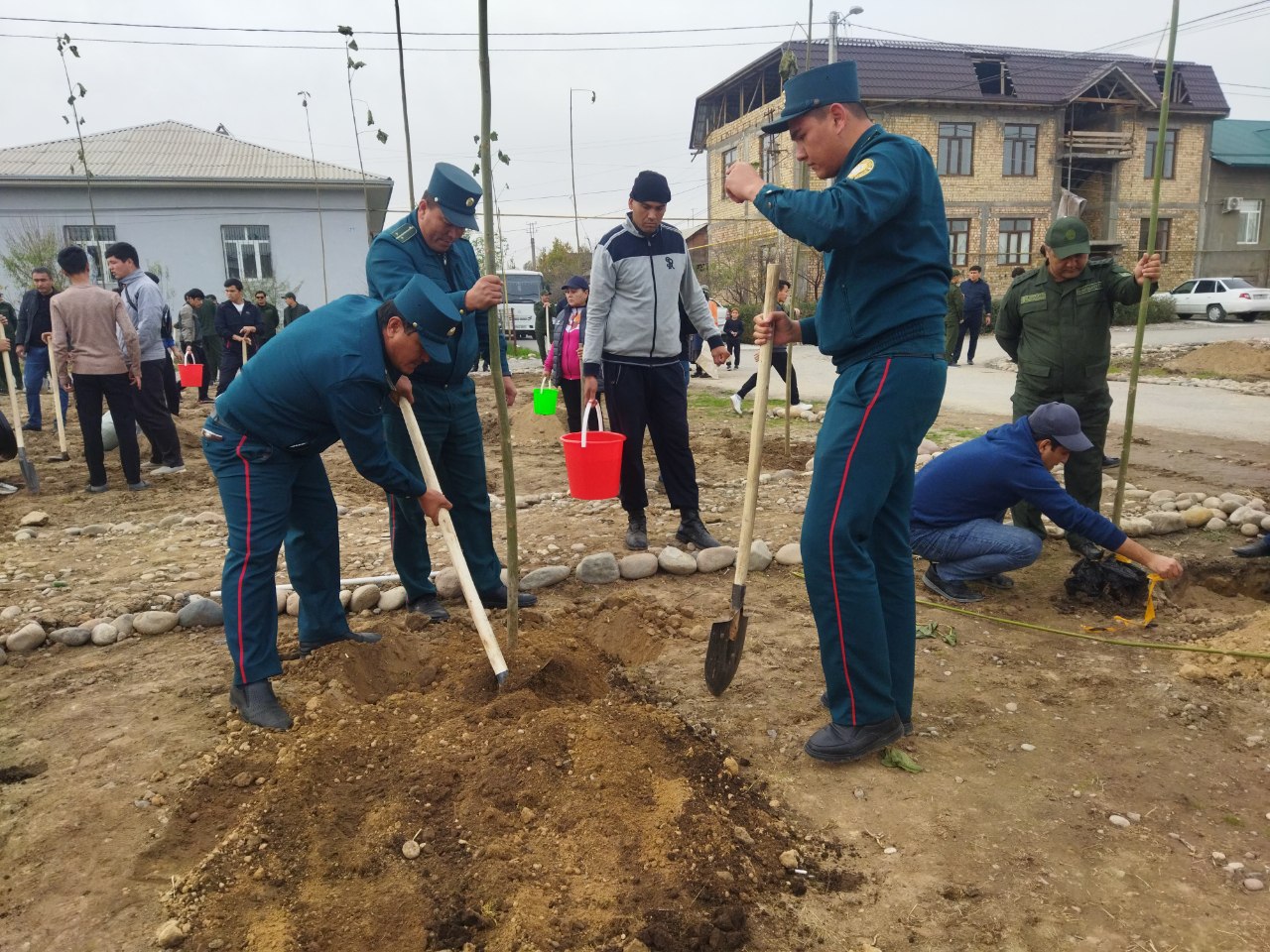 В Бектемирском и Янгихаётском районах проходят мероприятия в рамках проекта «Яшил макон»