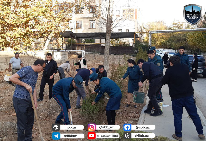 В Юнусабадском районе общенациональный проект – в действии