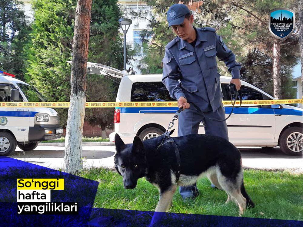 Новости за последнюю неделю (с 30 мая до 4 июня)