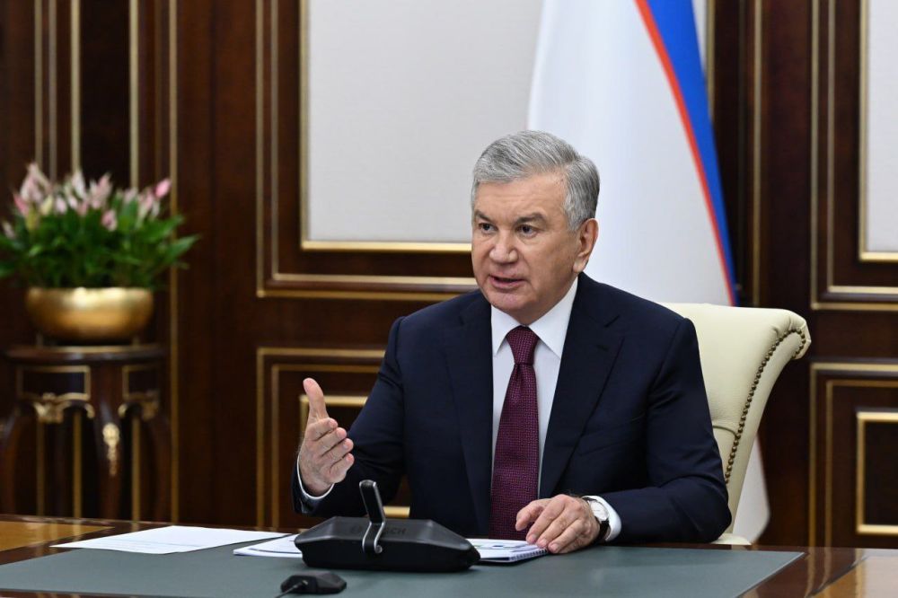 Ongoing work and further plans in statistics reviewed