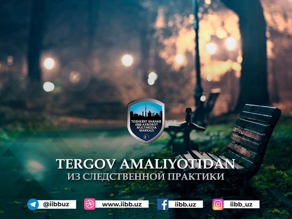 Ночные грабители