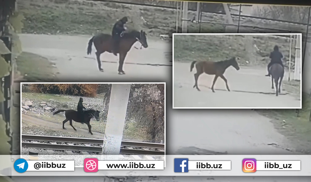 По факту кражи животных возбуждено уголовное дело