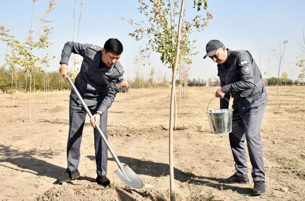 Пойтахтимизнинг Бектемир туманида ЮНЕСКО ташкилотининг 80 йиллиги муносабати билан кўчат э...