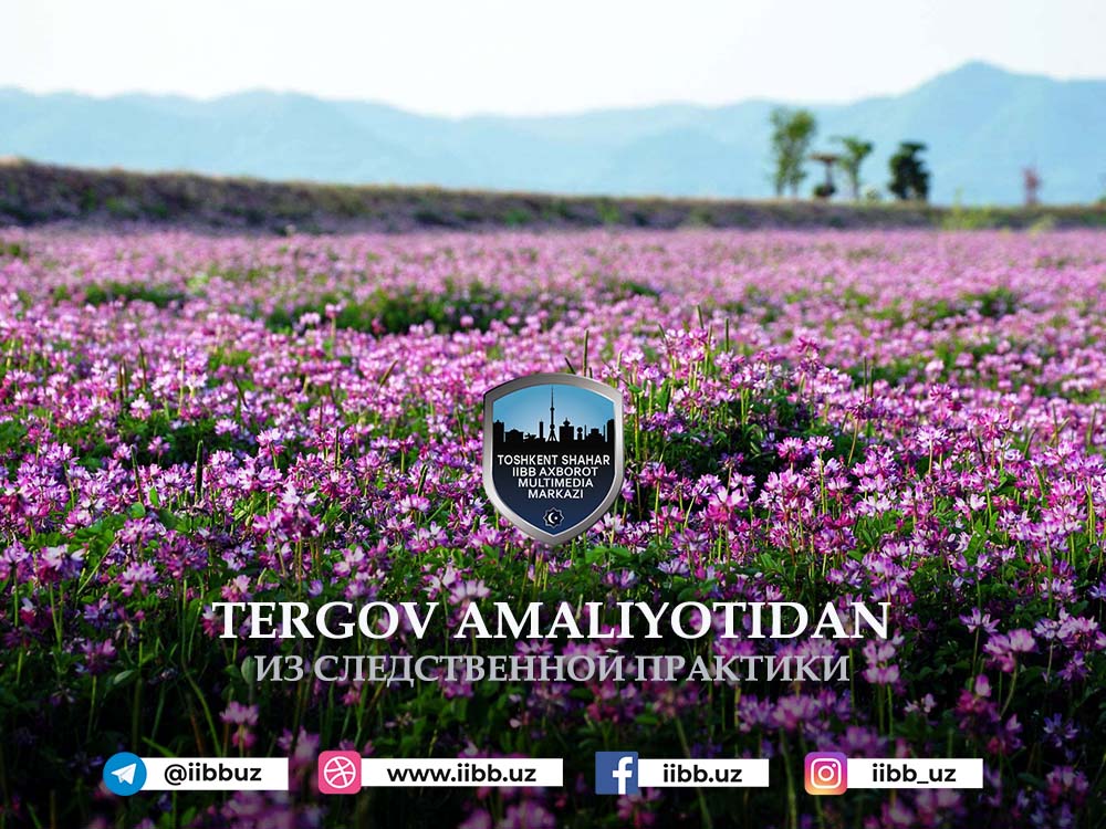 Экилмаган уруғлар