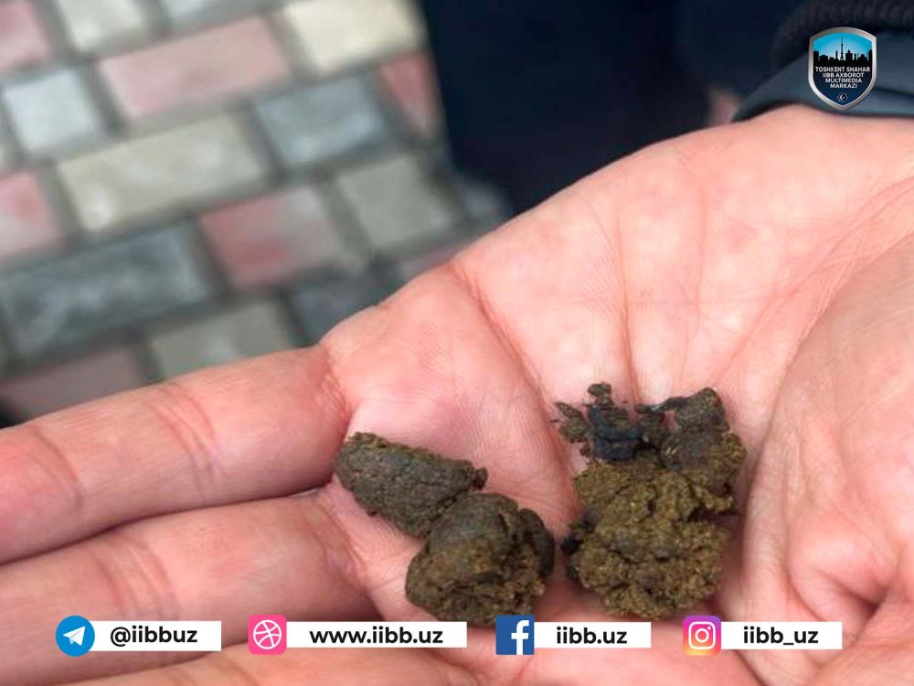 Яккасарой туманида гиёҳвандлик воситаларини тарқатувчи “закладчик” қўлга олинди