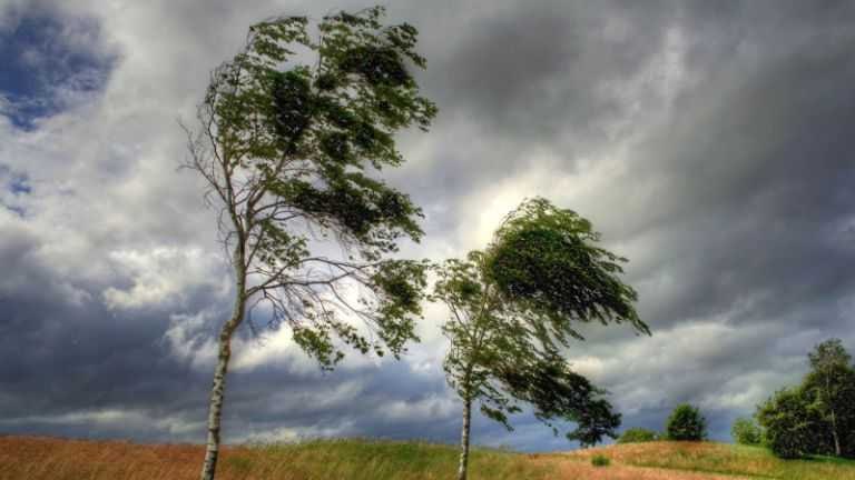 Уважаемые жители и гости столицы!