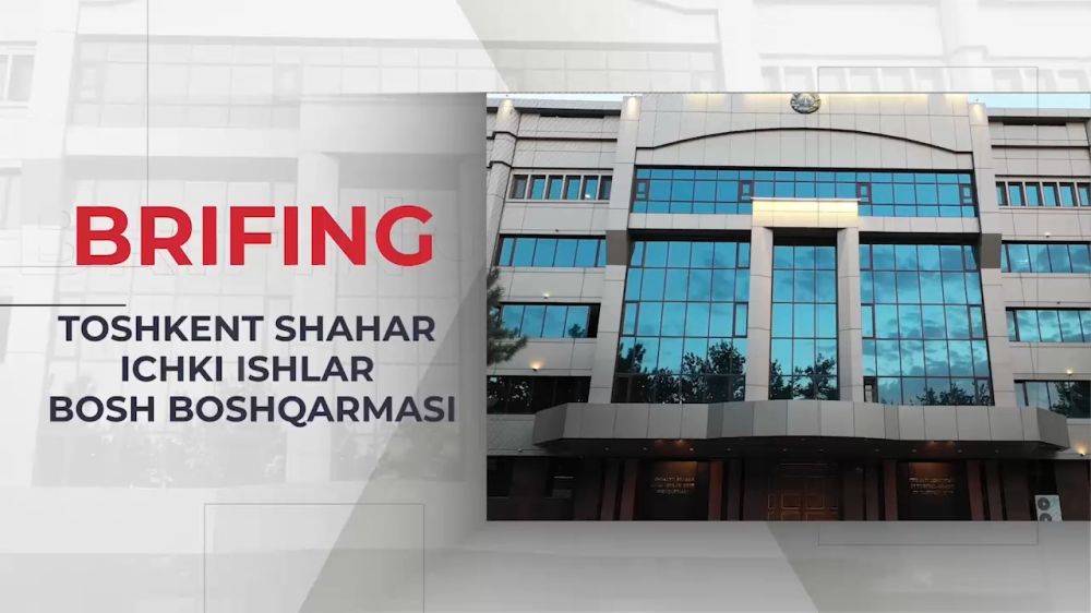 Итоговый отчёт о проделанной работе