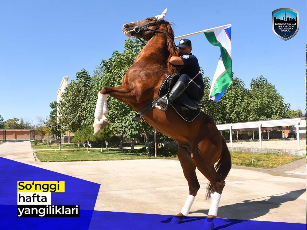 Новости за последнюю неделю (с 27 июня по 3 июля)