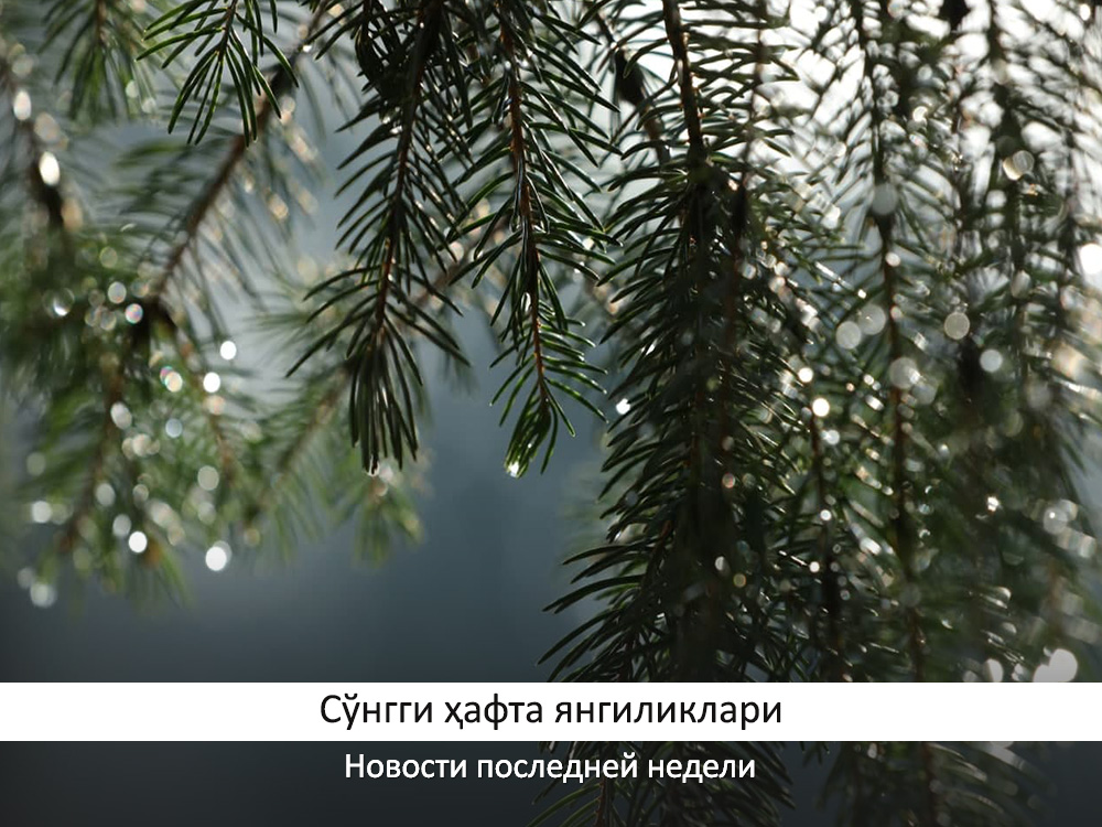 So'nggi hafta yangiliklari (10 yanvar kunidan – 16 yanvargacha)
