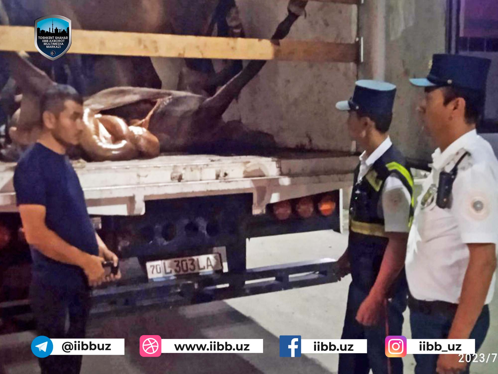 Пресечена попытка ввоза в Ташкент непригодного к употреблению мяса