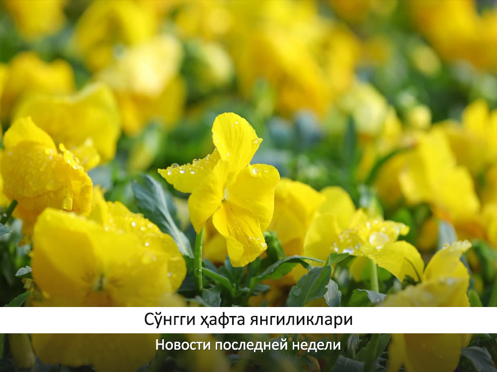 So'nggi hafta yangiliklari (17 yanvar kunidan – 23 yanvargacha)