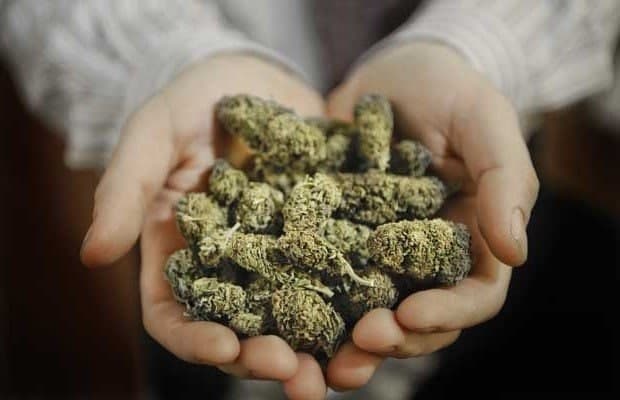 “Sharq” YPX postida giyohvandlik vositalarini saqlash bilan bog`liq fakt aniqlandi