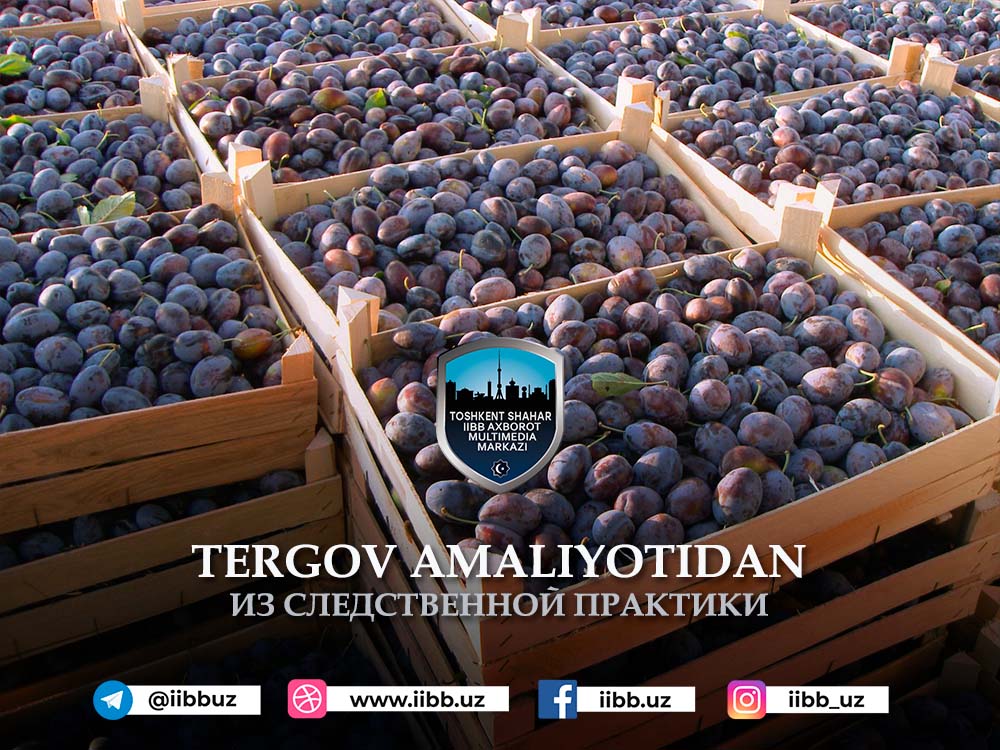 Қимматга тушган бизнес режа